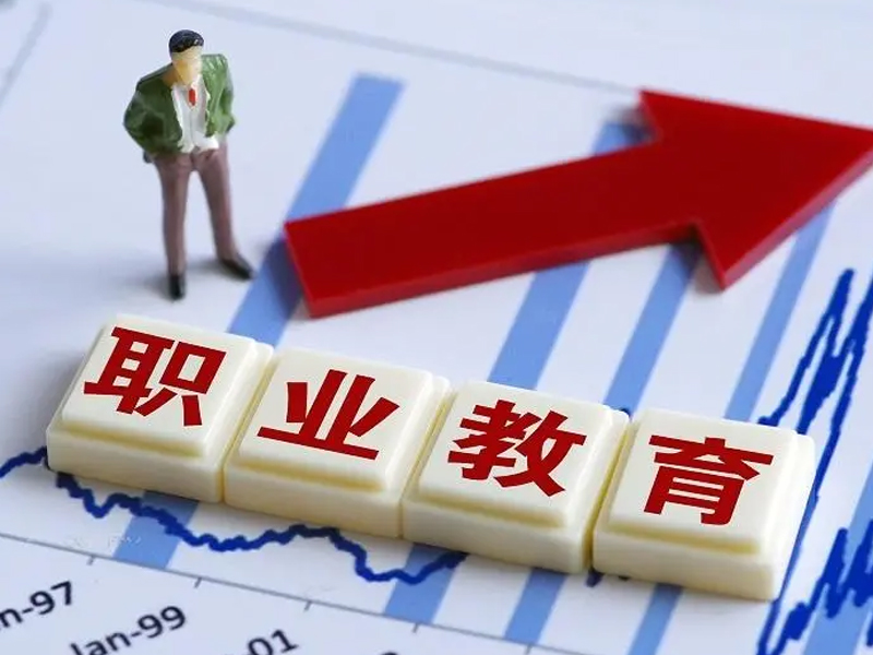 职业教育